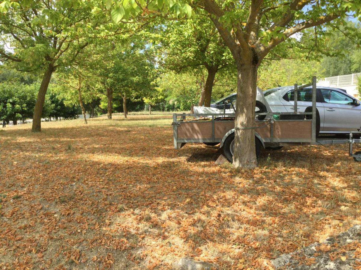 Mazet Tournesol Aux Portes Du Verdon Saint-Martin-de-Brômes Dış mekan fotoğraf